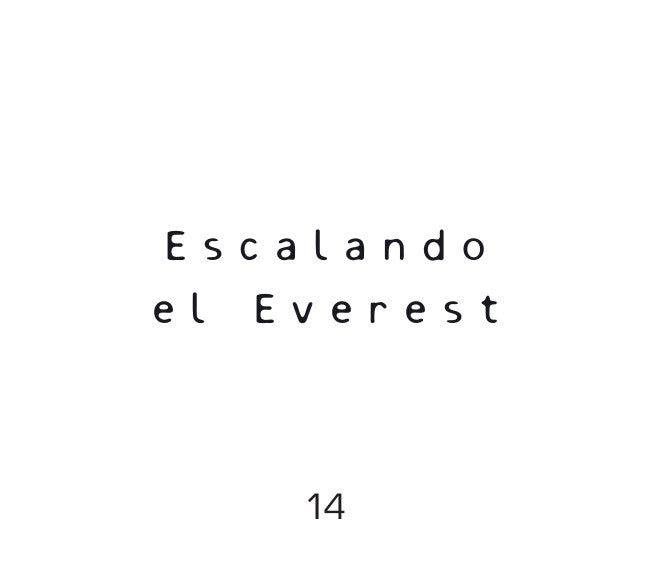 Escalando el Everest, página 14